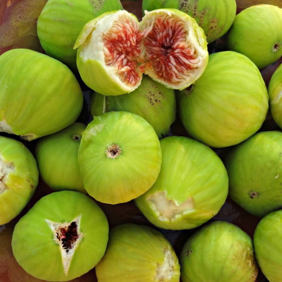 Imagem Fruto do Figo Branco