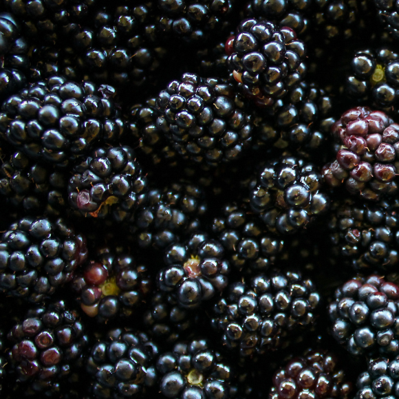 Imagem Fruto da Amora Comum Nativa