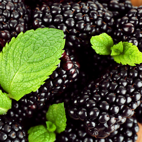 Imagem Fruto de Amora Portuguesa