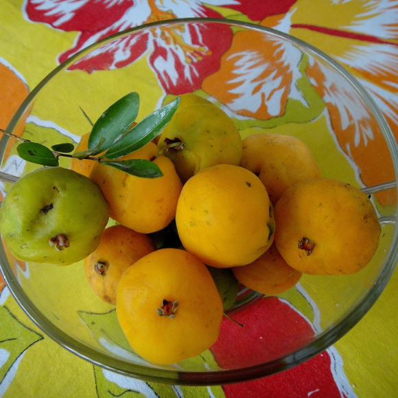 Imagem Fruto da Uvaia