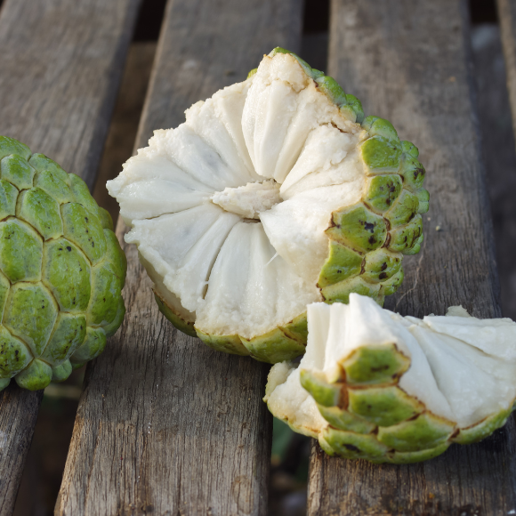 Imagem Fruto da Anona