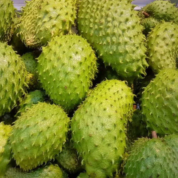 Imagem Fruto da Graviola