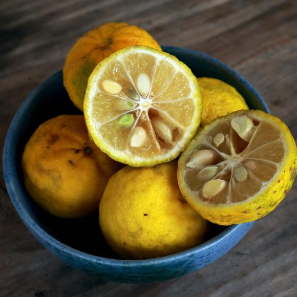 Imagem Fruto do Limão Yuzu