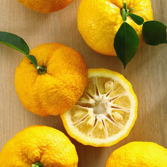 Imagem Fruto do Limão Yuzu