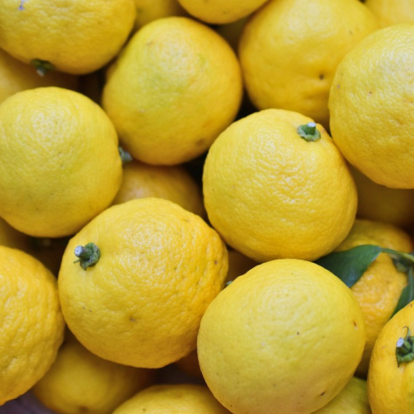 Imagem Fruto do Limão Yuzu