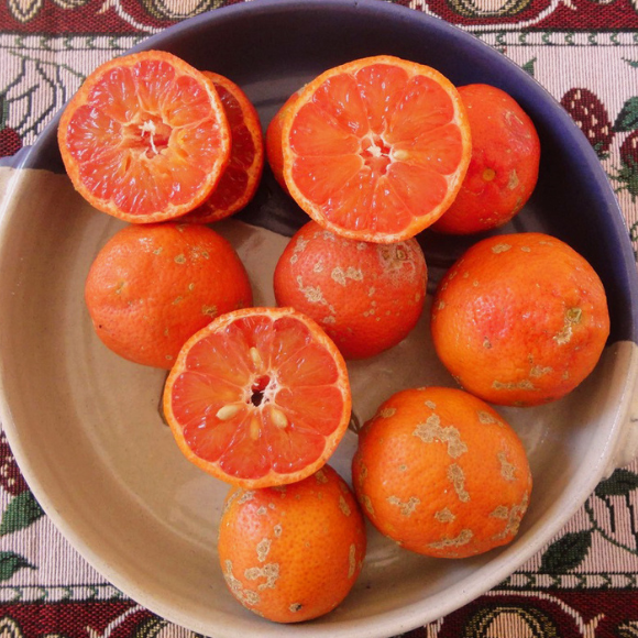 Imagem Fruto do Lim&atilde;o Cravo