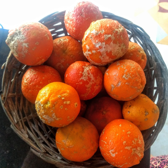 Imagem Lim&atilde;o Cravo