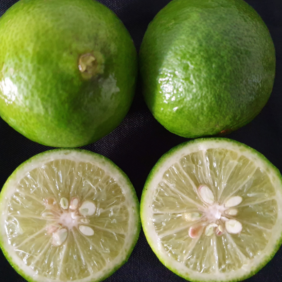 Imagem Fruto do Lim&atilde;o Galego