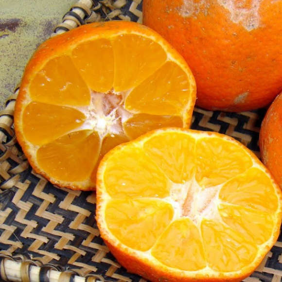 Imagem Fruto do Limão Cravinho