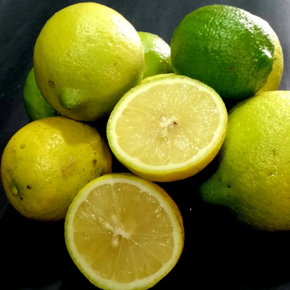Imagem Fruto do Lim&atilde;o Doce