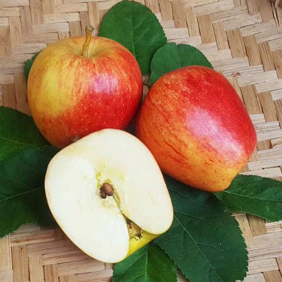 Imagem Fruto da Ma&ccedil;&atilde; Ana