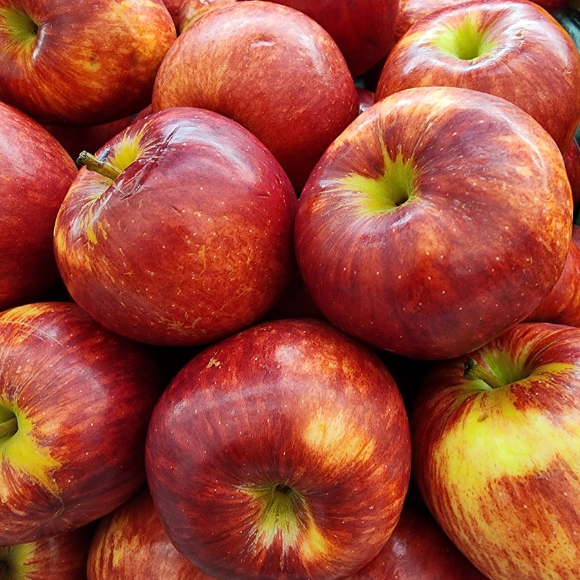 Imagem Fruto da Ma&ccedil;&atilde; Ana