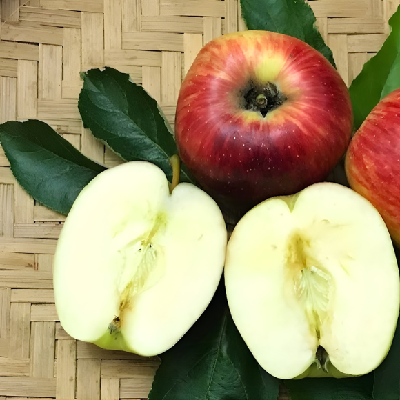 Imagem Fruto da Ma&ccedil;&atilde; Eva