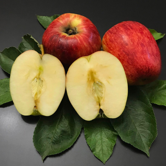 Imagem Fruto da Ma&ccedil;&atilde; Eva