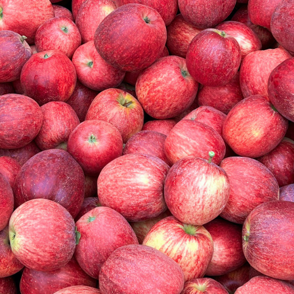 Imagem Fruto da Ma&ccedil;&atilde; Eva