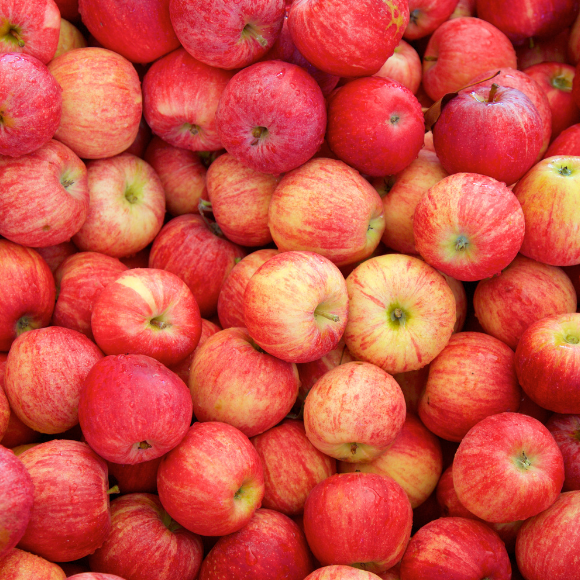 Imagem Fruto da Ma&ccedil;&atilde; Gala