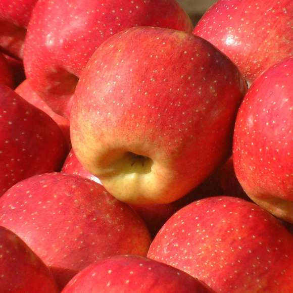 Imagem Fruto da Maçã Julieta