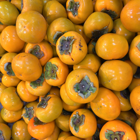 Imagem Fruto do Caqui Fuyu