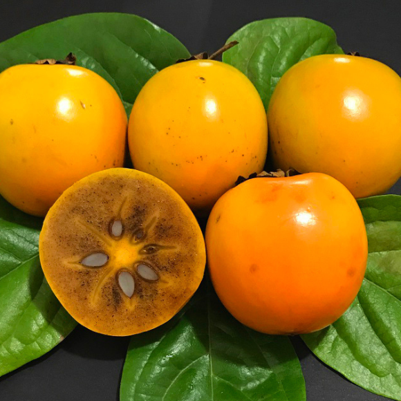 Imagem Fruto do Caqui Kioto