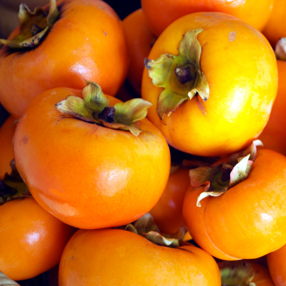 Imagem Fruto do Caqui Kioto