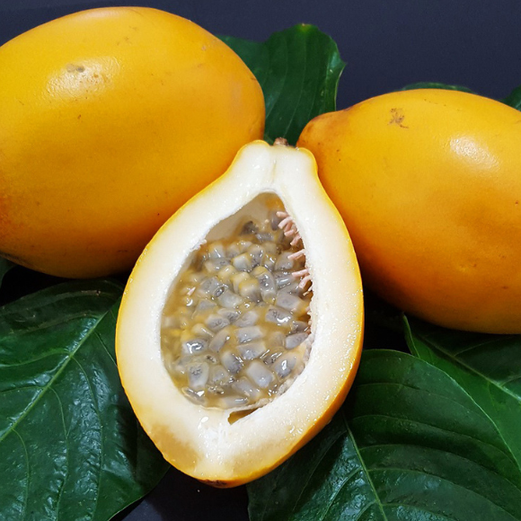 Imagem Fruto da Maracuj&aacute; Doce