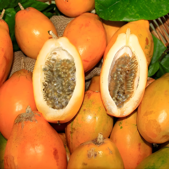 Imagem Fruto da Maracuj&aacute; Doce