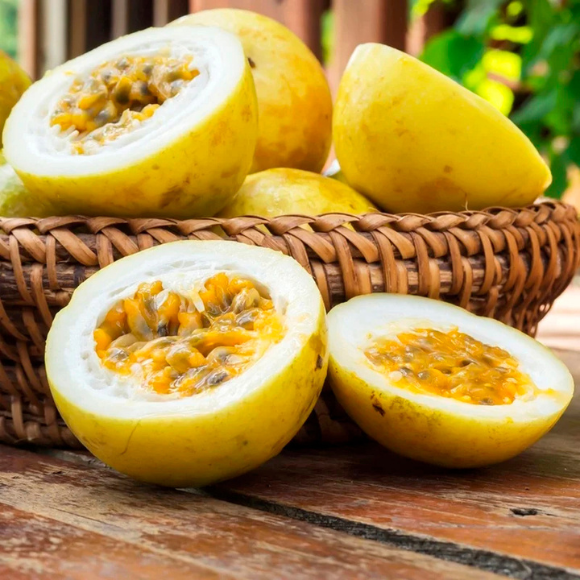 Imagem Fruto da Maracuj&aacute; Azedo