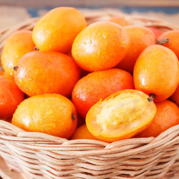 Imagem Fruto da Seriguela