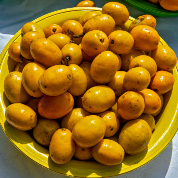 Imagem Fruto da Seriguela