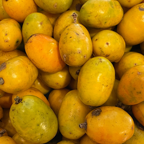 Imagem Fruto da Seriguela