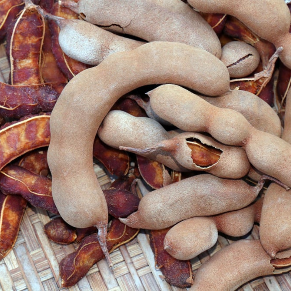 Imagem Fruto do Tamarindo