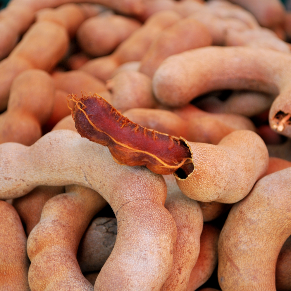 Imagem Fruto do Tamarindo