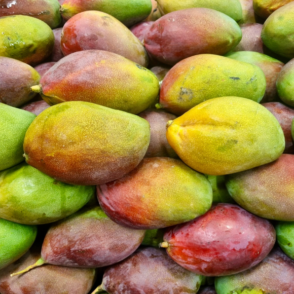 Imagem Fruto da Manga Palmer