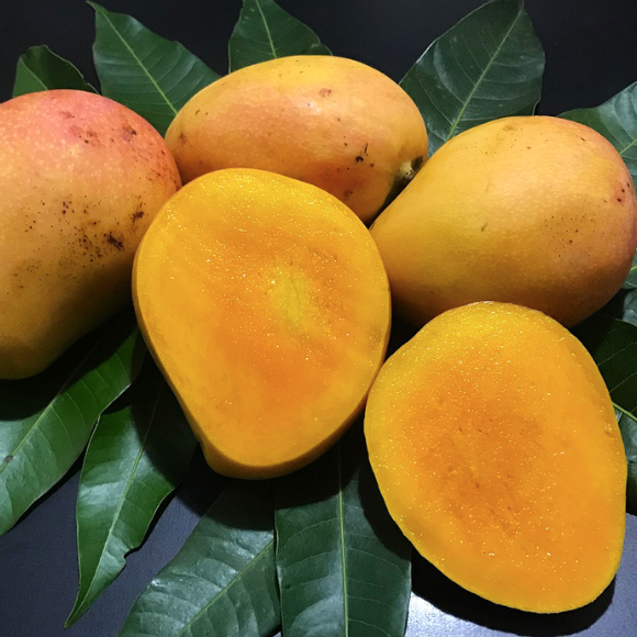 Imagem Fruto da Manga Rosa