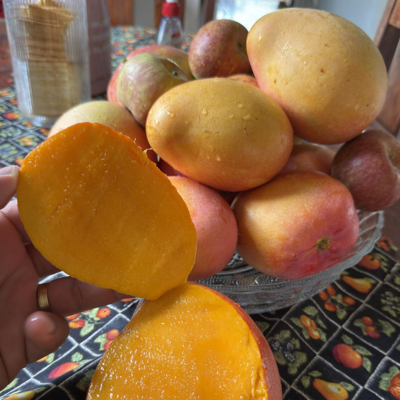 Imagem Fruto da Manga Rosa