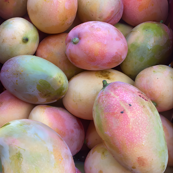 Imagem Fruto da Manga Rosa