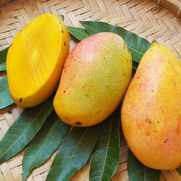 Imagem Fruto da Manga Espada