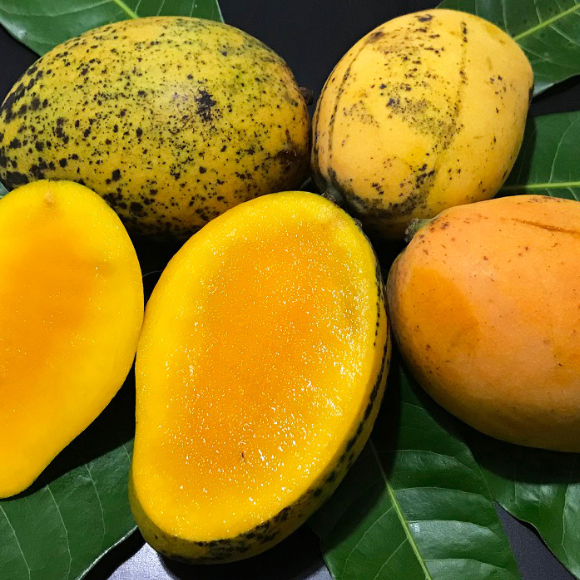 Imagem Fruto da Manga Espada