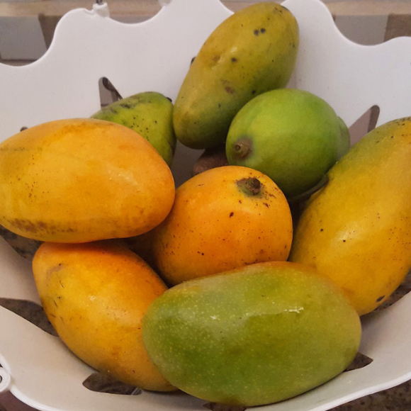 Imagem Fruto da Manga Espada