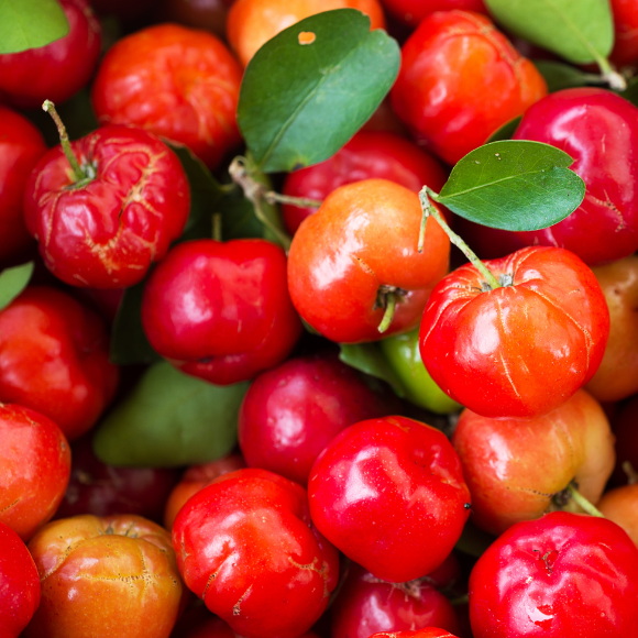 Imagem Fruto da Acerola Cabocla