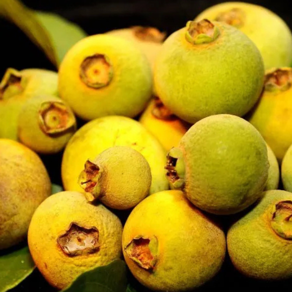 Imagem Fruto do Ara&ccedil;&aacute; do Mato Sete Capotes