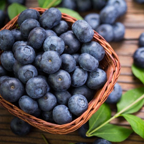 Imagem Fruto da Mirtilo Climax