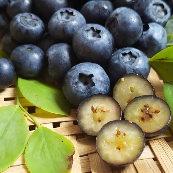 Imagem Fruto da Mirtilo Climax