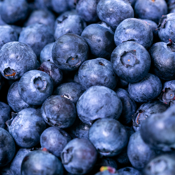 Imagem Fruto do Mirtilo Climax