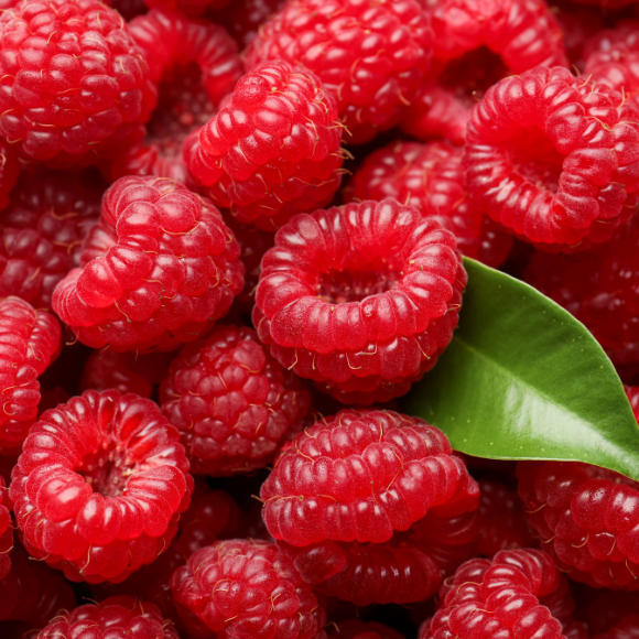 Imagem Fruto da Framboesa