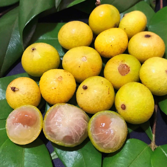 Imagem Fruto da Jabuticaba Amarela