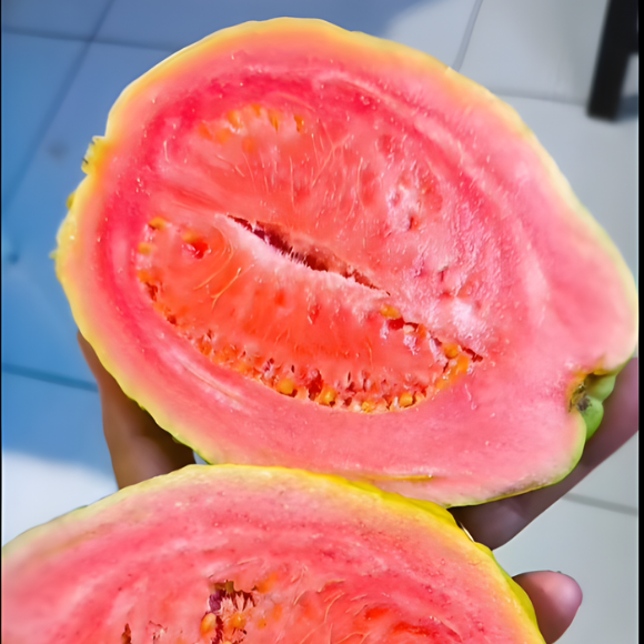 Imagem Fruto da Goiaba Tailandesa