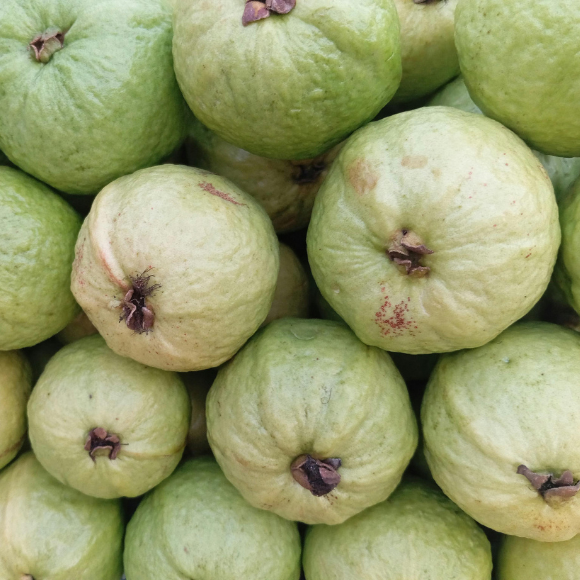 Imagem Fruto da Goiaba Tailandesa