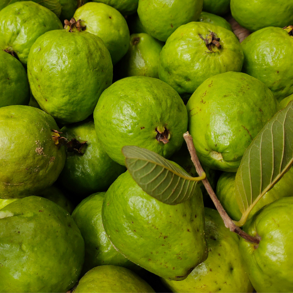 Imagem Fruto da Goiaba Vermelha