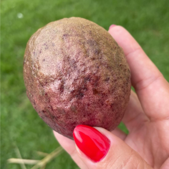 Imagem Fruto da Goiaba Roxa